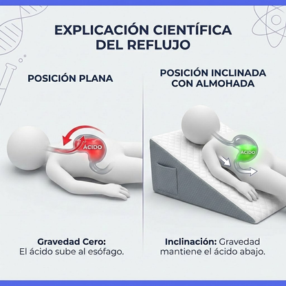 ERGOVA® – La Almohada Ergonómica de Elevación